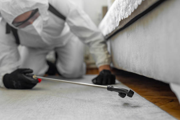 Professional Bed Bug Control technician working in Minonk, IL